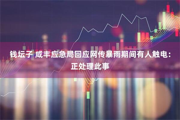 钱坛子 咸丰应急局回应网传暴雨期间有人触电：正处理此事