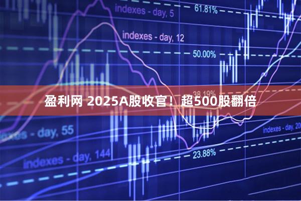 盈利网 2025A股收官！超500股翻倍